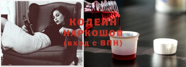 apvp Валдай