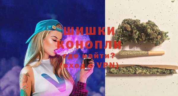 apvp Валдай