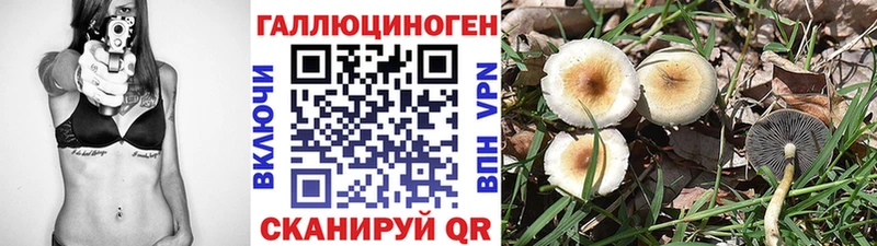kraken зеркало  купить наркотики цена  Княгинино  Галлюциногенные грибы ЛСД 