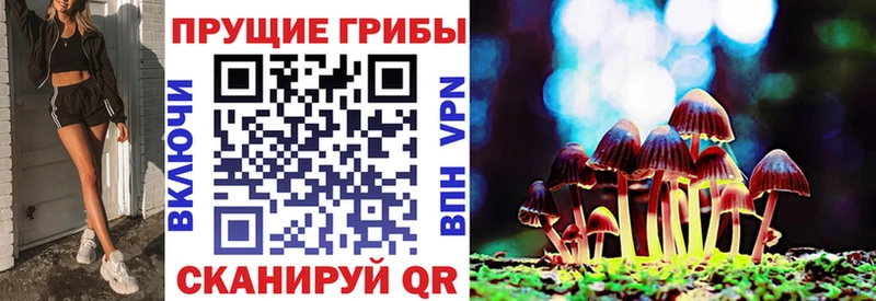 Псилоцибиновые грибы GOLDEN TEACHER Княгинино